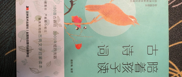 618 种草好书之《陪着孩子读古诗词》