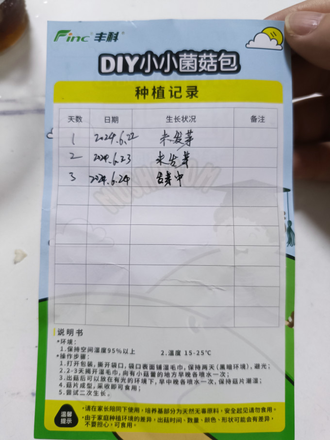 考拉精灵菌菇木耳