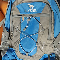 骆驼（CAMEL）户外双肩包男女30L轻便徒步旅行运动登山背包  蓝色