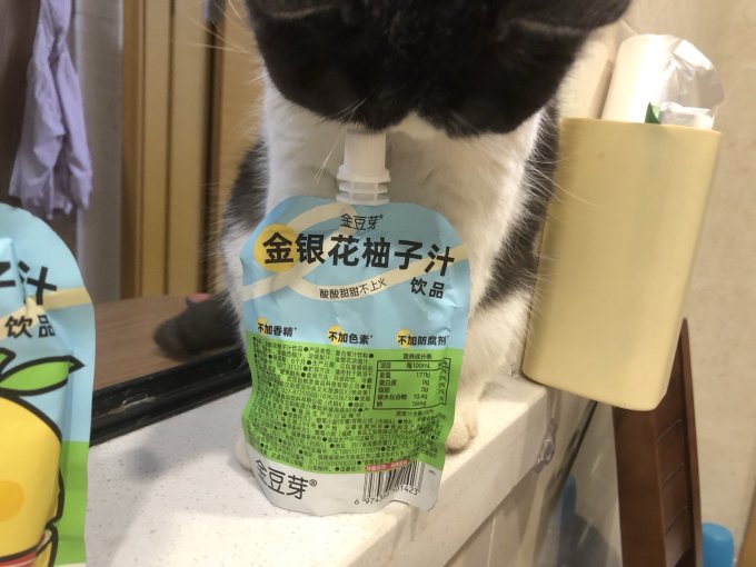 金豆芽其他饮料