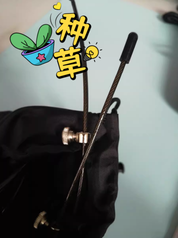 李宁跳绳