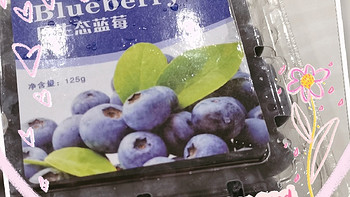 爱上蓝莓，爱上健康生活