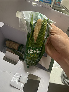 云南玉米🌽好吃，价格实惠15块钱买10个小玉米，粘糯糯软软糯软软糯甜甜！