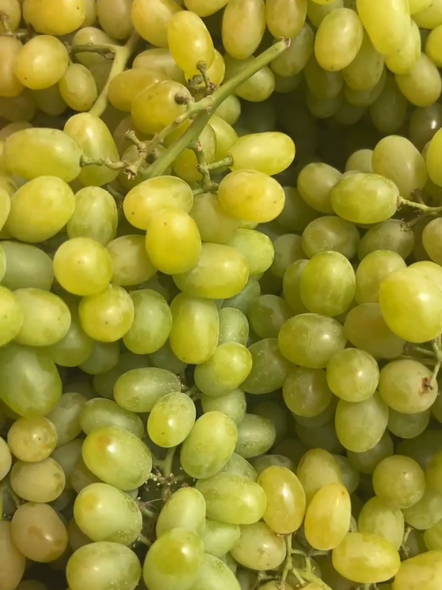 新疆第一季的无核白上市了，甜又好吃