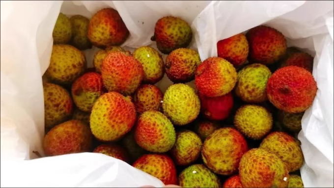 探味君新鲜水果