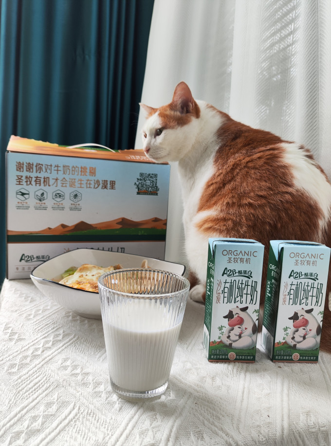 圣牧常温牛奶