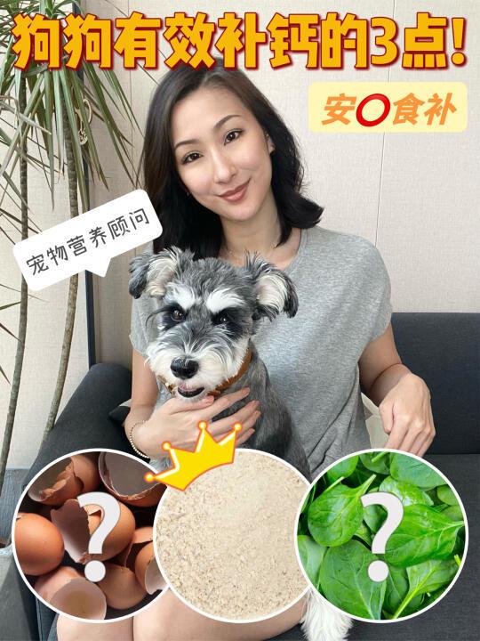 拒绝❌盲目给狗狗补钙