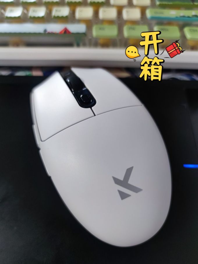 迈从鼠标