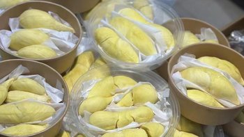 我的榴莲，申请出战欧洲杯！！！ 