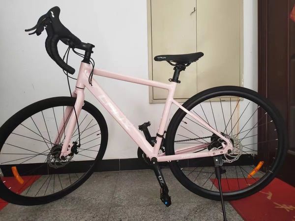 超高颜值的雷克斯自行车