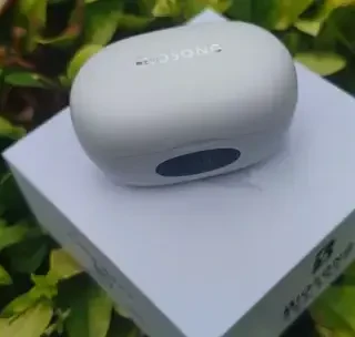 平价王者，双飞燕百耳颂Biosong【金耳朵】五星音质认证 蓝牙耳机B5