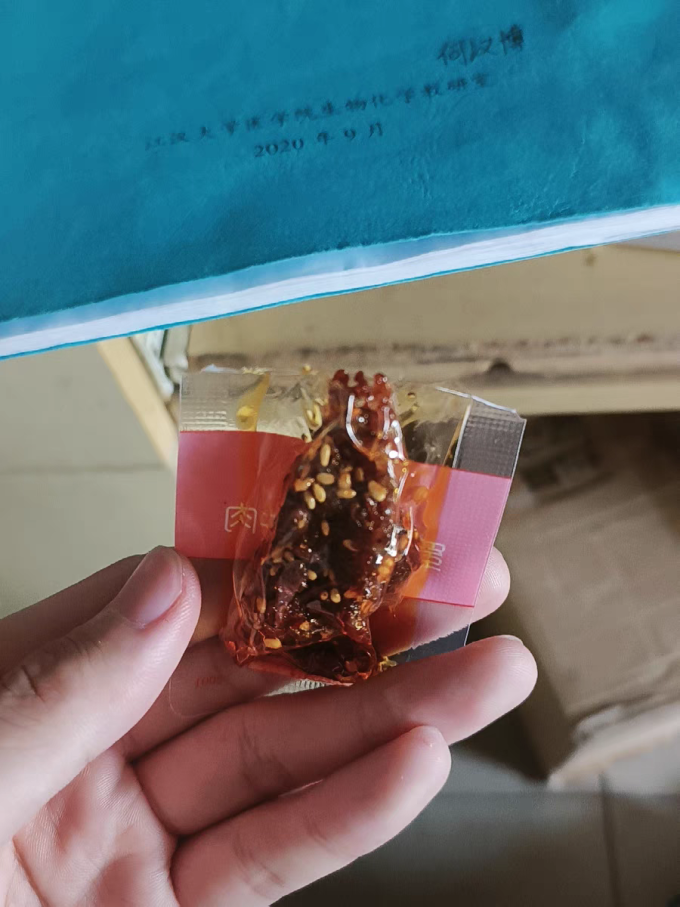 百草味肉干肉脯