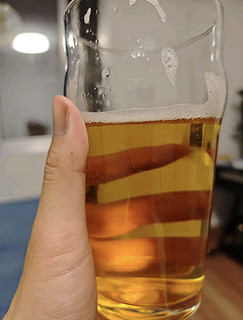 雪花啤酒（Snowbeer）全麦5号12.5度醇厚型啤酒 500ml*12听【全麦芽】