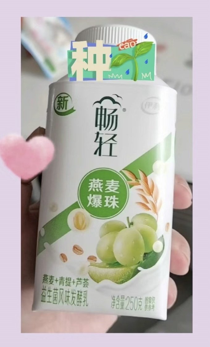 低温酸奶