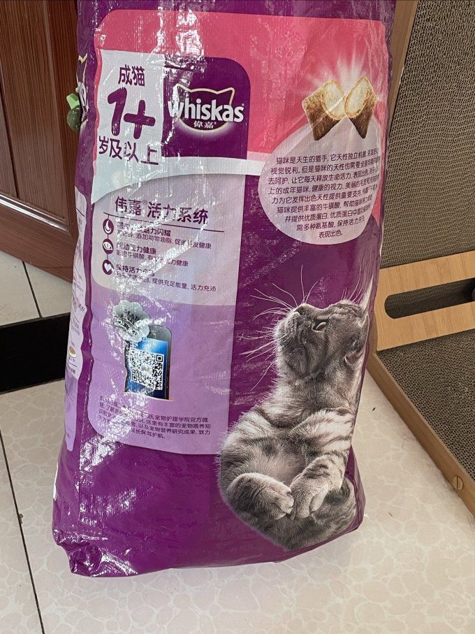 伟嘉猫咪干粮