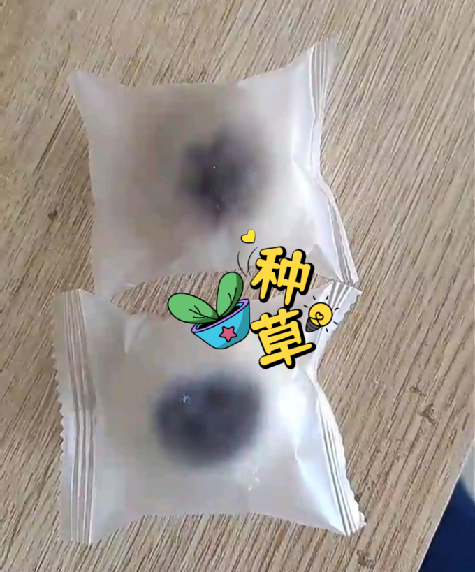 夏午三点常温蛋糕