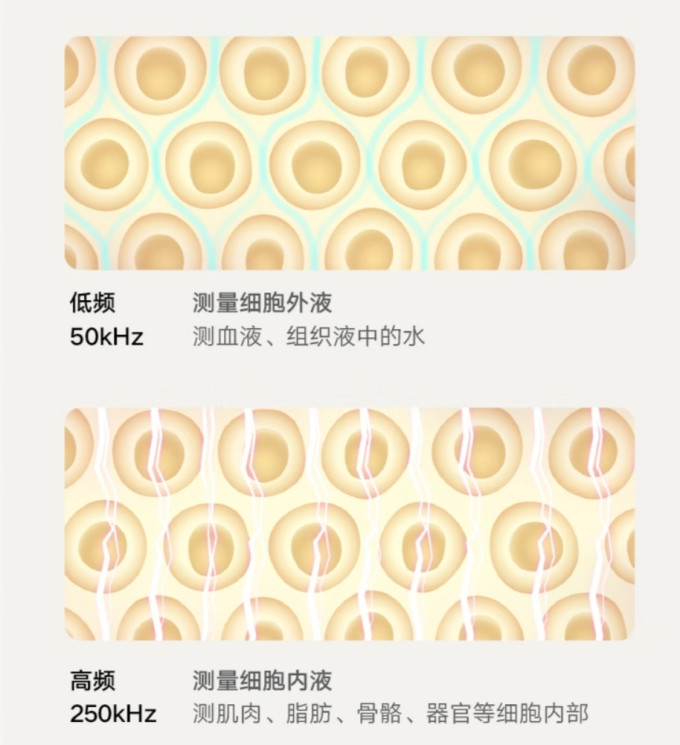 小米健康秤