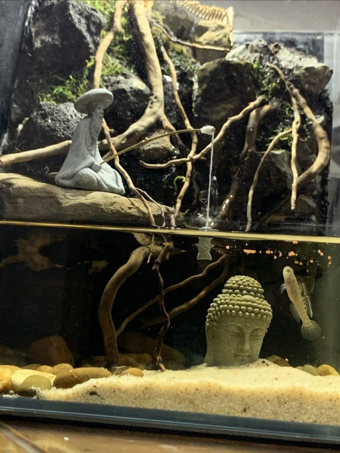 意牌鱼缸
