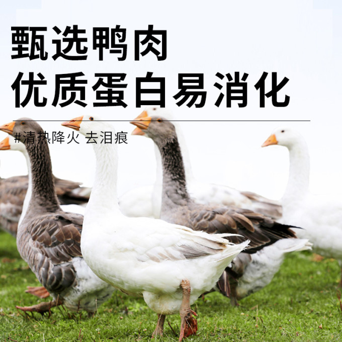 盒边猫咪干粮