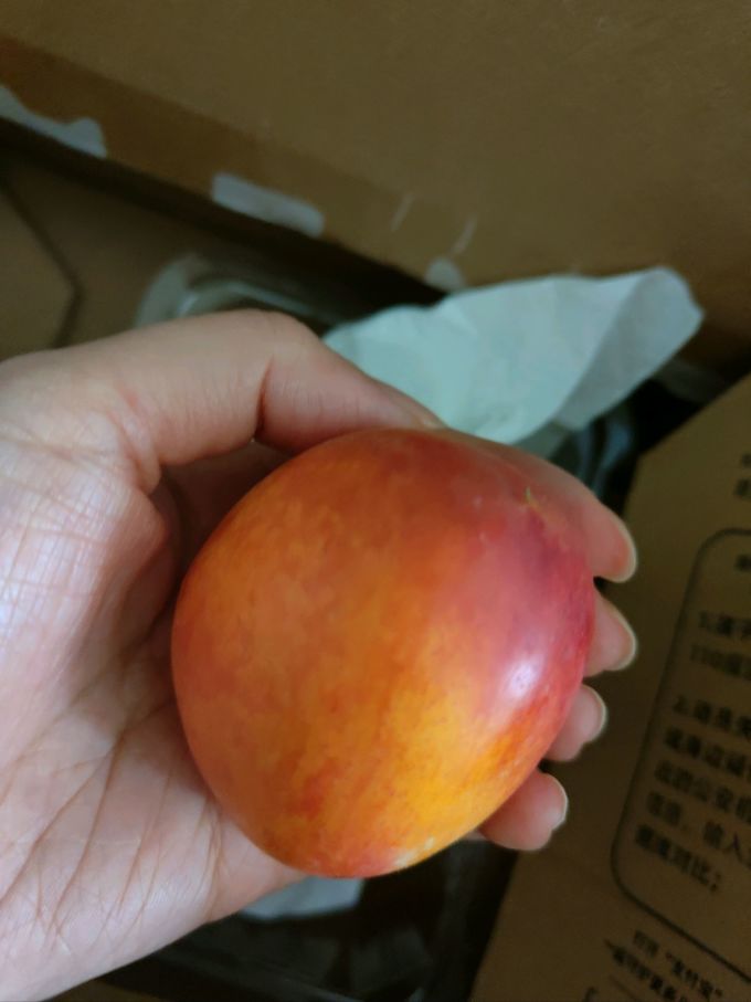 京鲜生其他水果