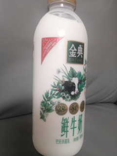 哇！金典鲜牛奶，口感绝了！