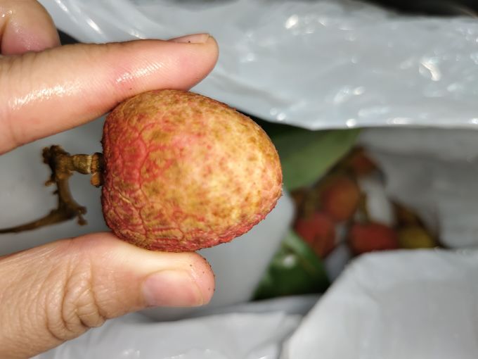 妃子笑新鲜水果