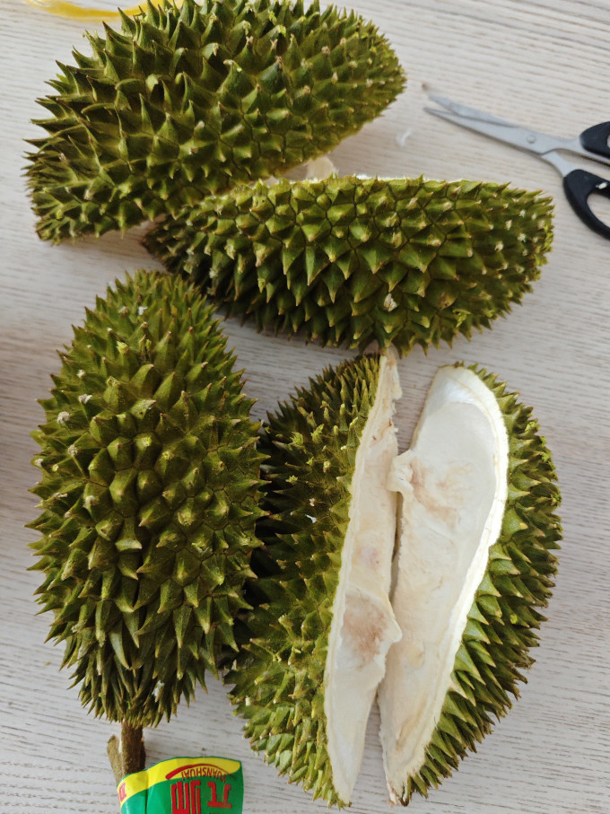 蜜企味榴莲