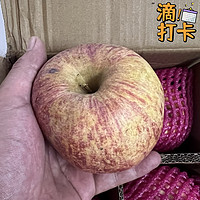 这个苹果还真好吃，山东红富士苹果开箱来了！