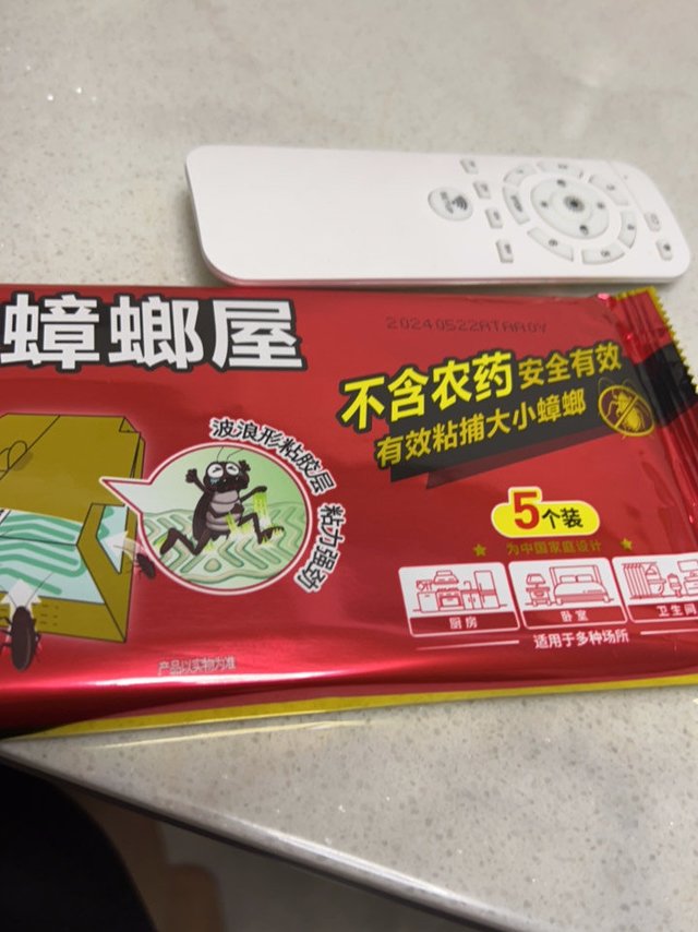 蟑螂屋怎么样