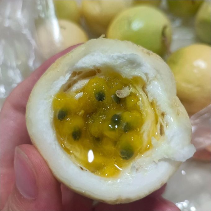 其他水果
