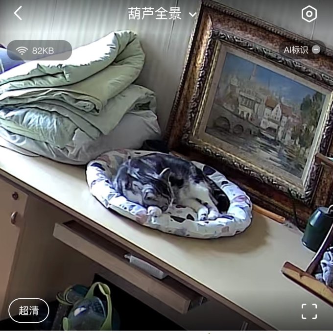 宠物冰垫