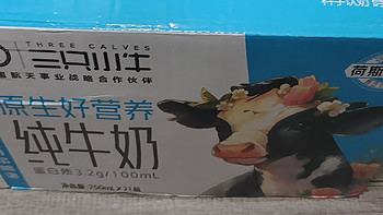 三只小牛纯牛奶，荷斯坦奶牛原生好营养