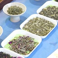 四川茶博会 亲品百家茶,滋味醉人心