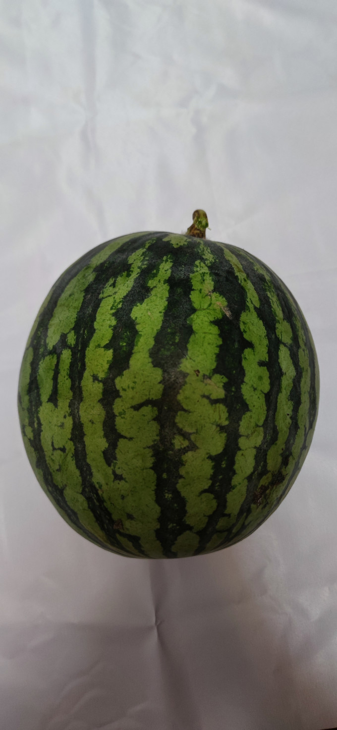 其他水果