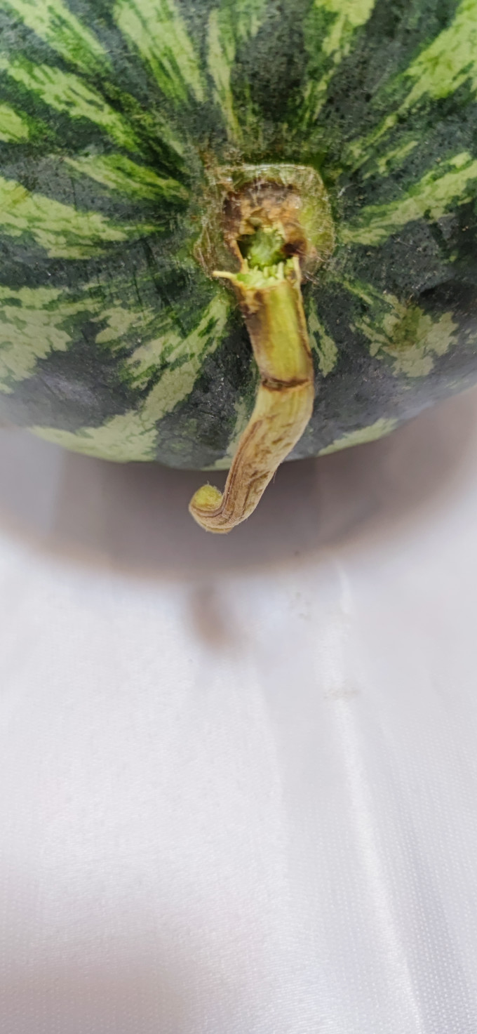 其他水果