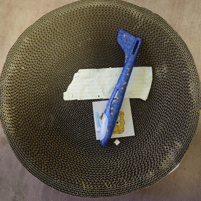 瓜洲牧猫抓板