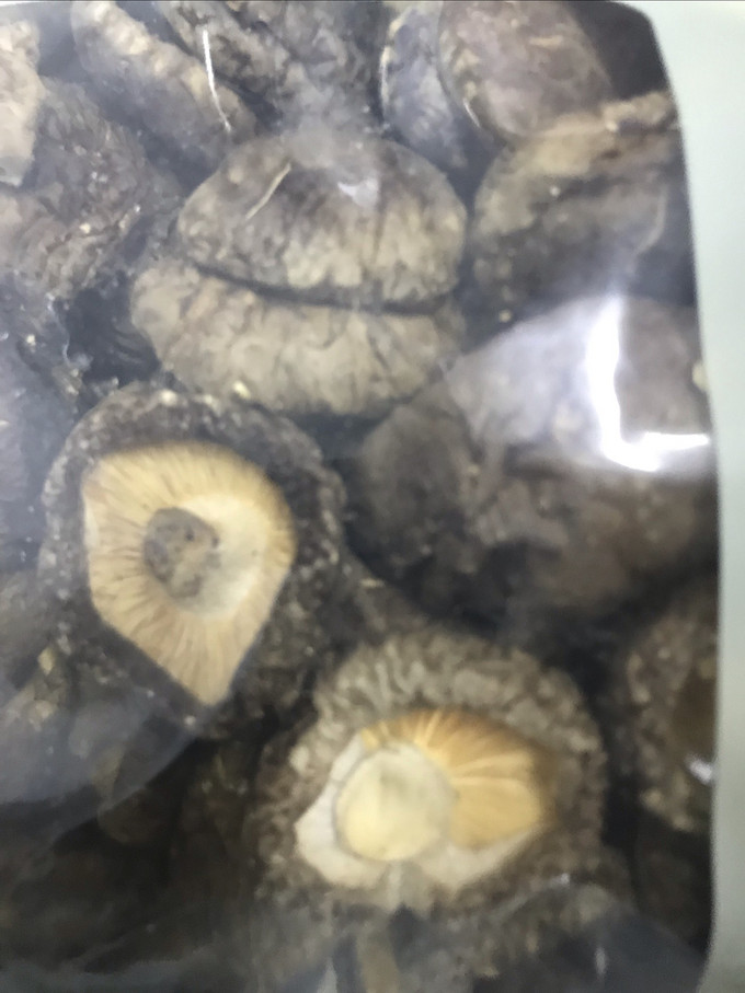 十月稻田菌菇木耳