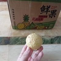 再次分享——黄金百香果