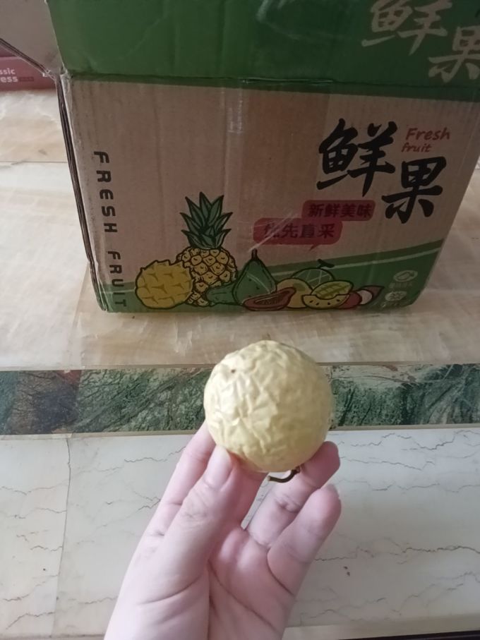 趣鲜语其他水果