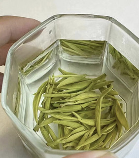 陈一凡绿茶龙井茶