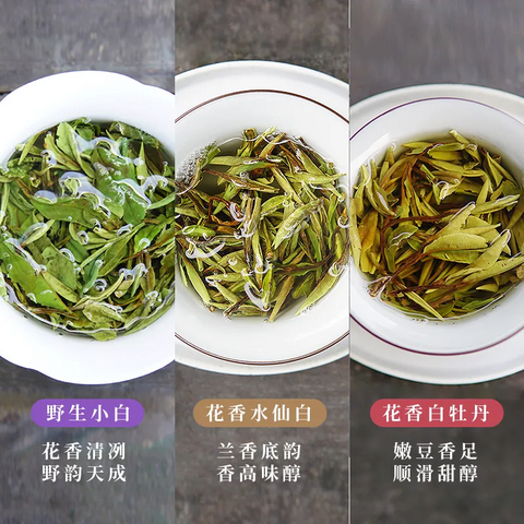 饮茶去，适合夏季的白茶系列推荐