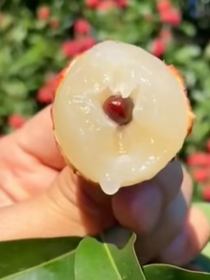 其他水果