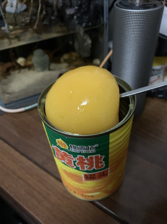 水果罐头