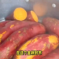 秋意浓红薯香：简单易学的家常红薯菜品