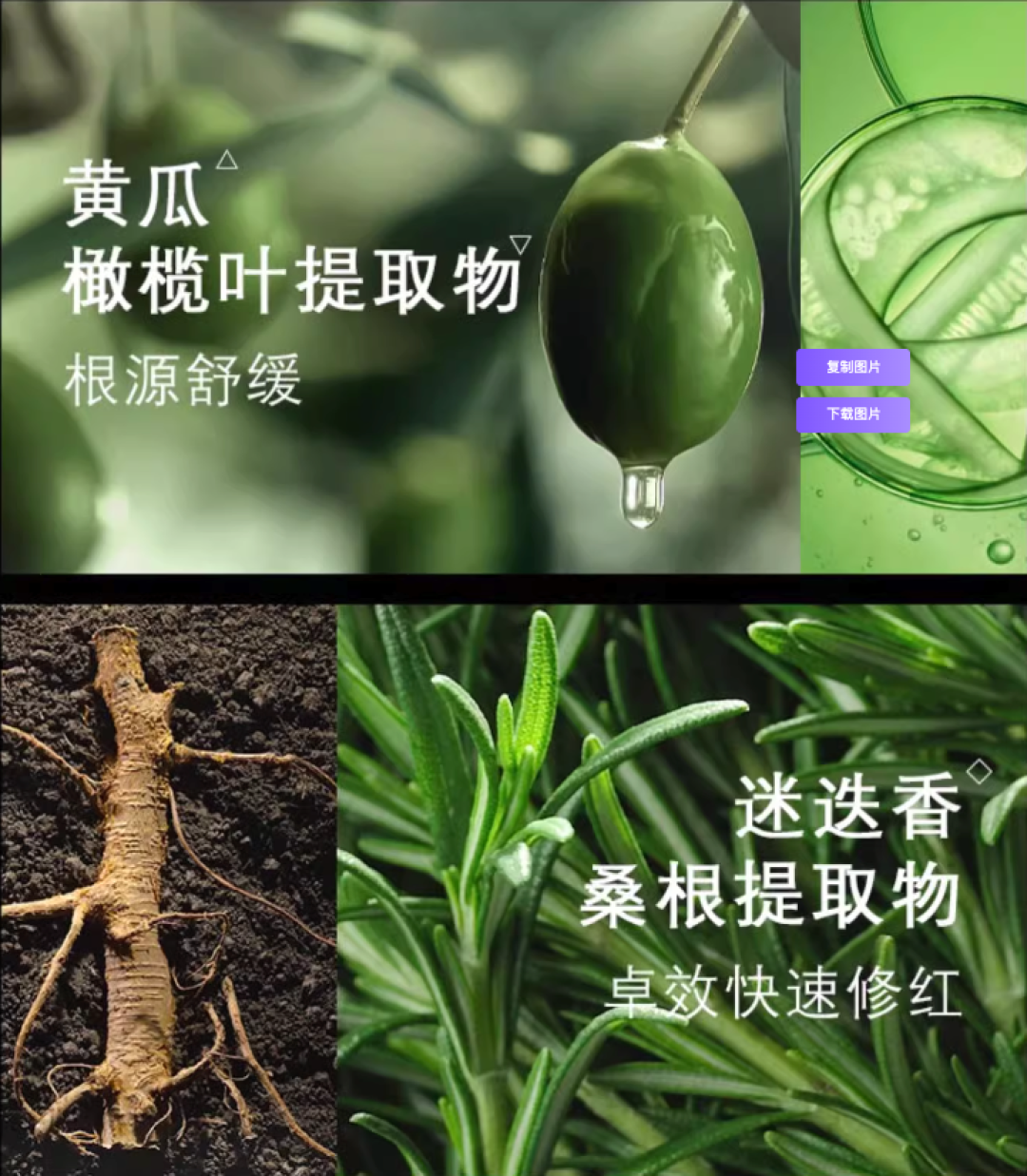 修丽可修护家族添新品
