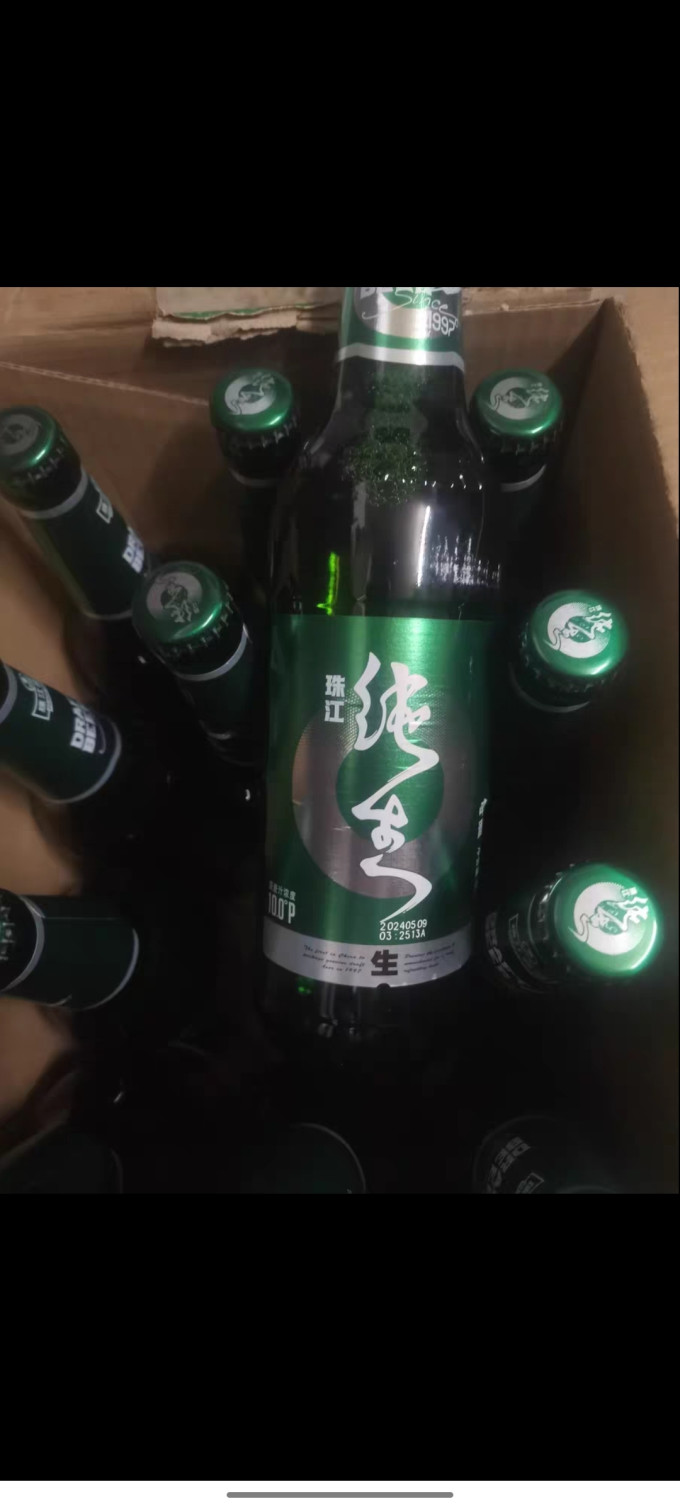 珠江啤酒97纯生啤酒500ml12罐国产整箱生啤易拉罐听装黄啤鲜啤酒