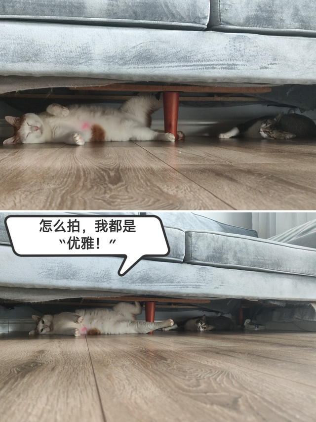 老妈子用网易天成主食罐，做一锅肉汤解暑补补水