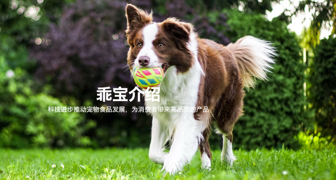 素材图来源于乖宝宠物集团官网