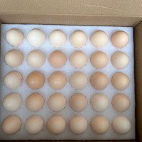 【1号会员店】优选鲜鸡蛋，健康早餐新选择！