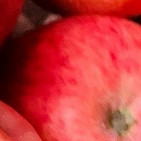 陕西正宗洛川红富士苹果：健康与美味的完美结合